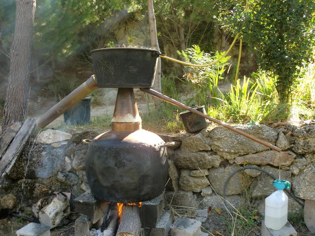 Quinta Do Circo - Serra Da Estrela - Turismo Rural Cortes do Meio Kültér fotó